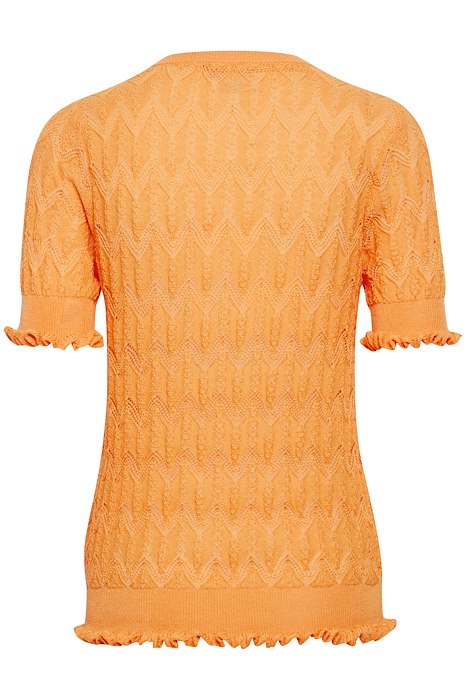 Paisley Top