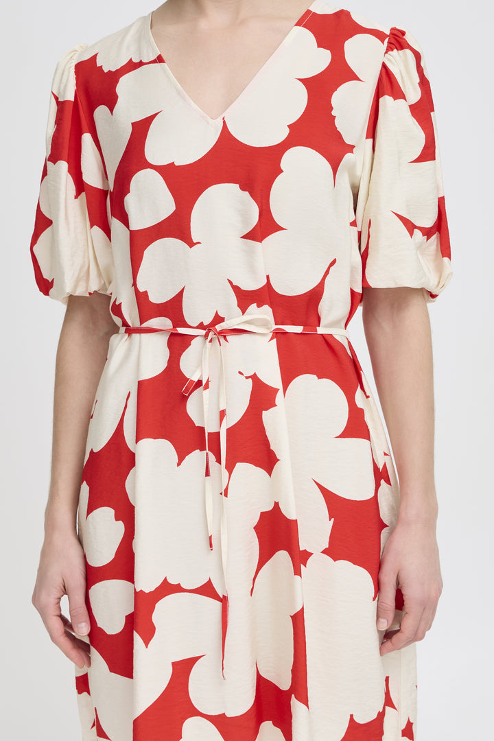 Ibine Dress
