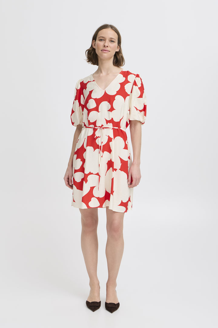 Ibine Dress