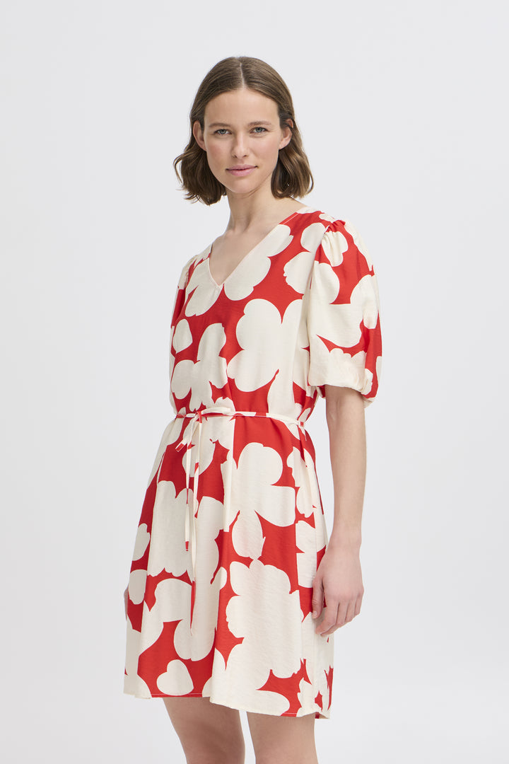 Ibine Dress