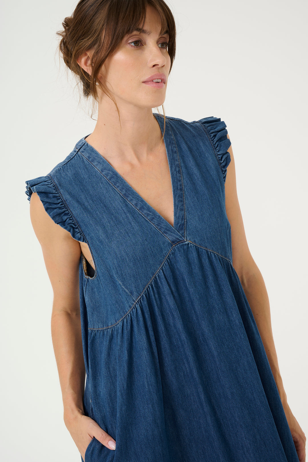Berteline Denim Dress
