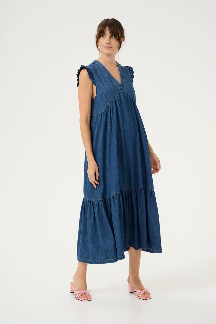 Berteline Denim Dress