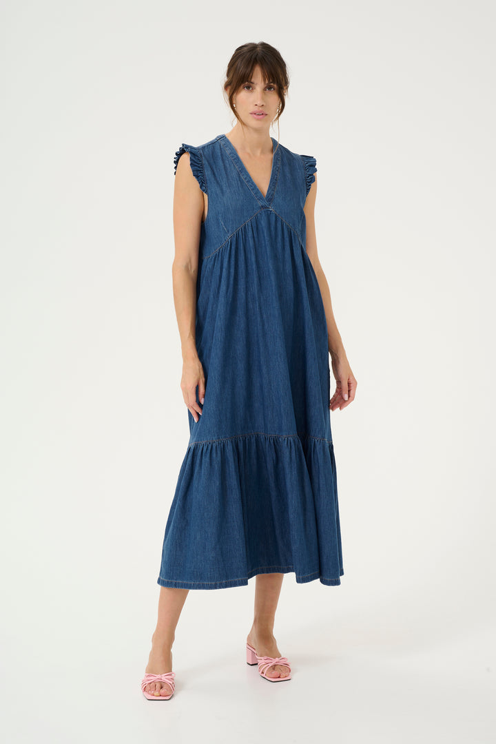 Berteline Denim Dress