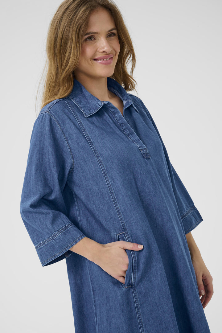 Pin Arpa Deinm Dress