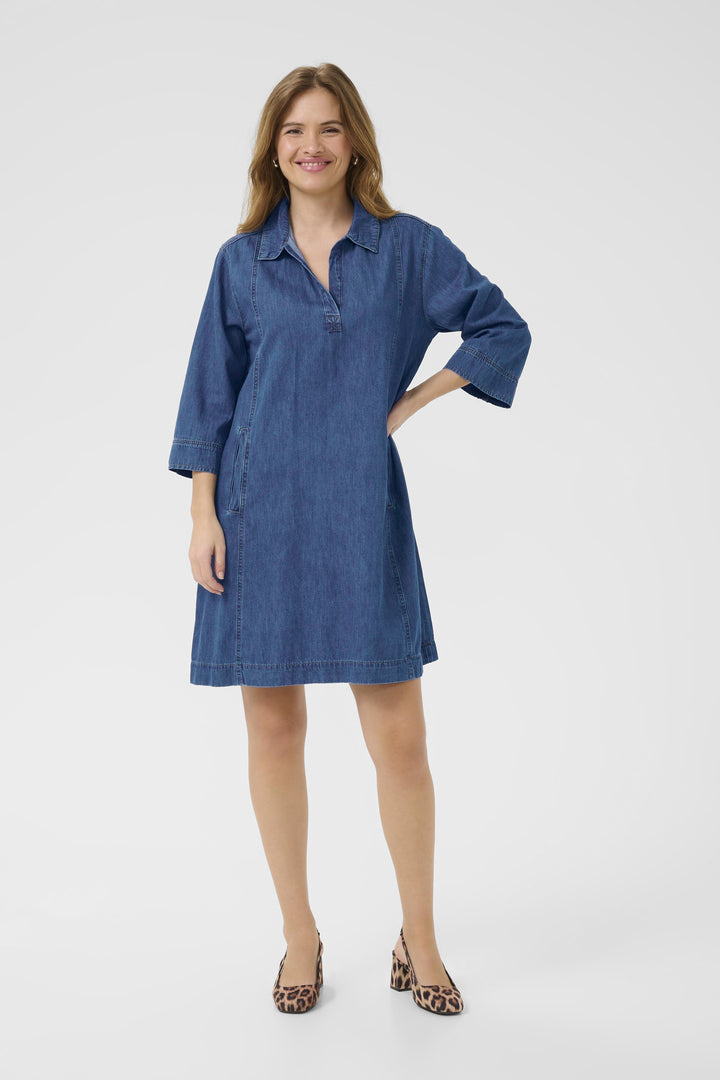 Pin Arpa Deinm Dress