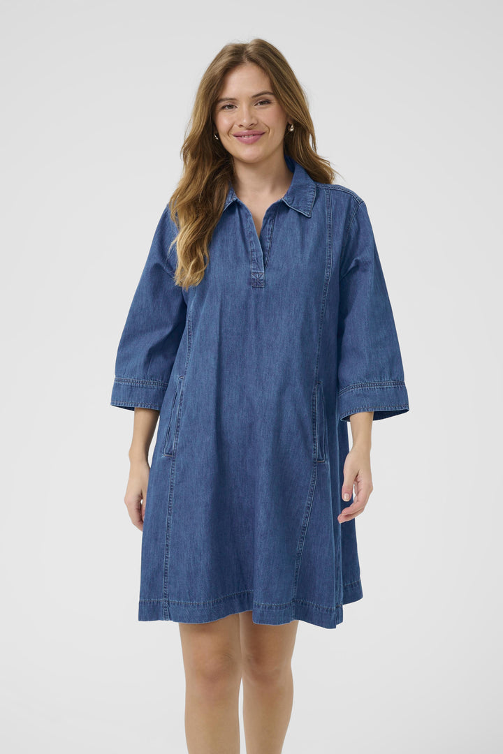 Pin Arpa Deinm Dress