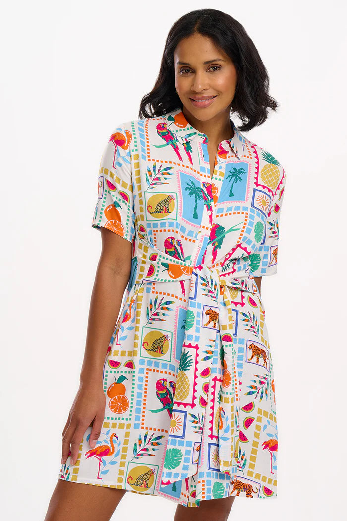 Dessie Mini Shirt Dress