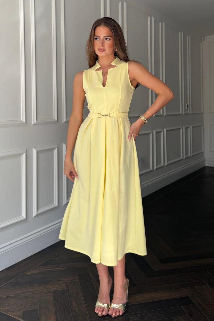 Ameya Dress Yellow