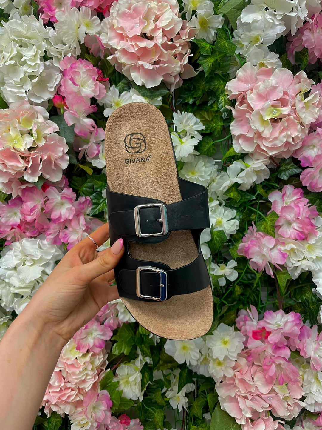 Charlotte Sliders