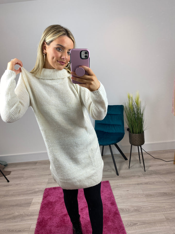 Ingeborg Life Long Sleeve Roll Neck Dress