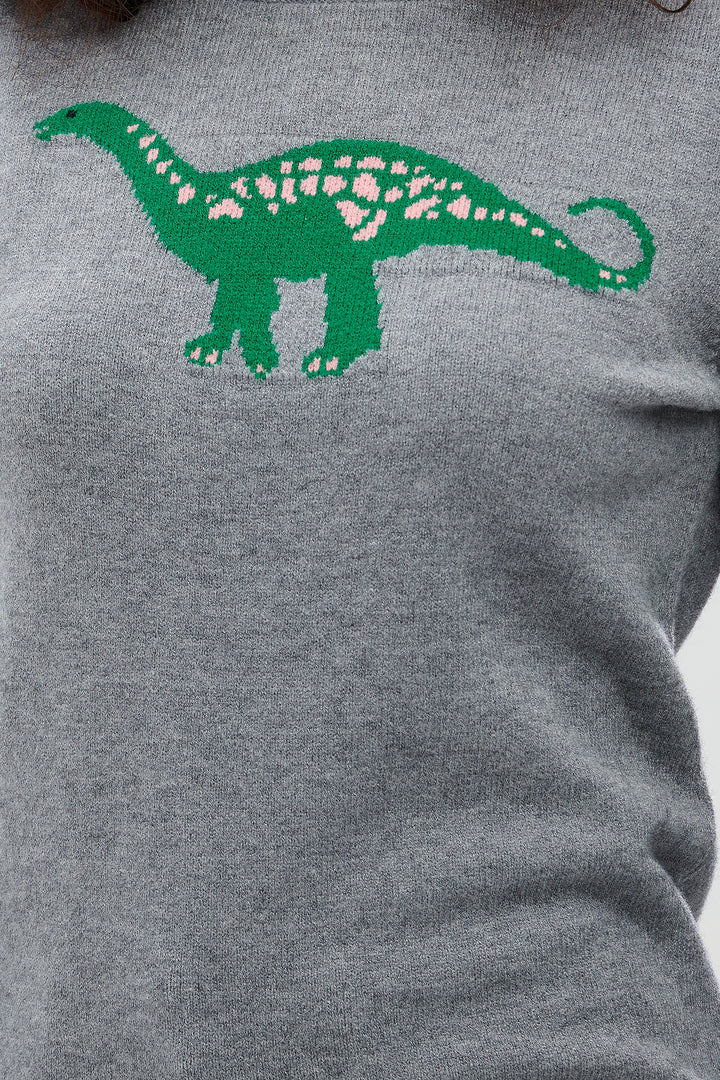 Stacey Jumper Diplodocus Delight